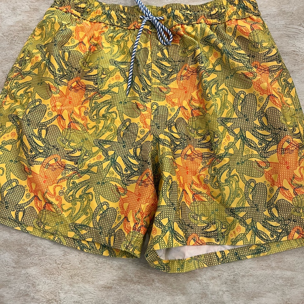 Southern tide swim trunks
